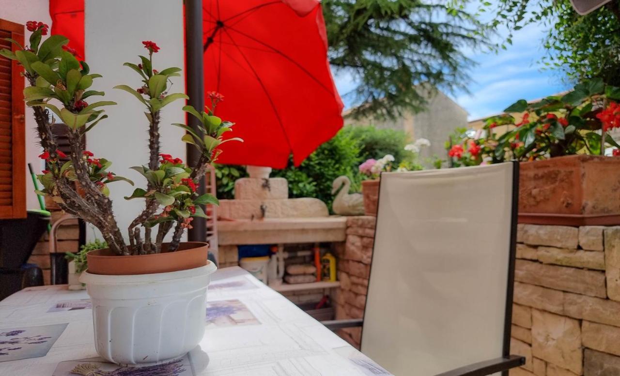 Ferienwohnung Valentino Novigrad Istria Exterior foto